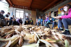 LIČKANJE KORUZE V IVANJEM SELU 10 FOTO LJUBO VUKELIČ